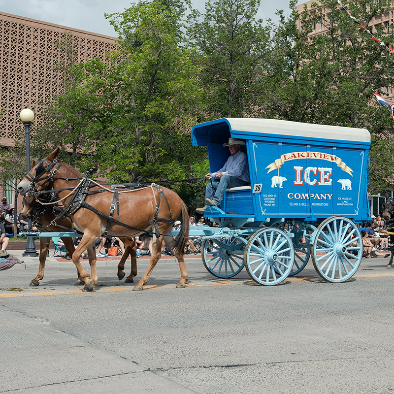 Ice Wagon
