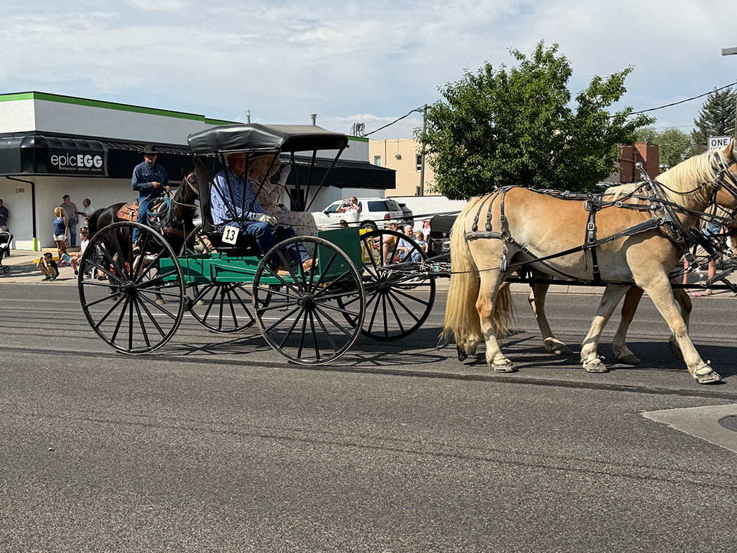 The buckboard carriage.