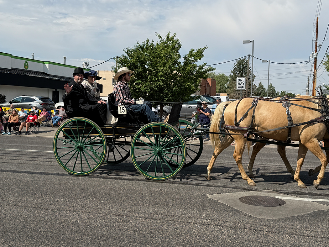 Number 15 is a spring wagon nicknamed "The Democrat".