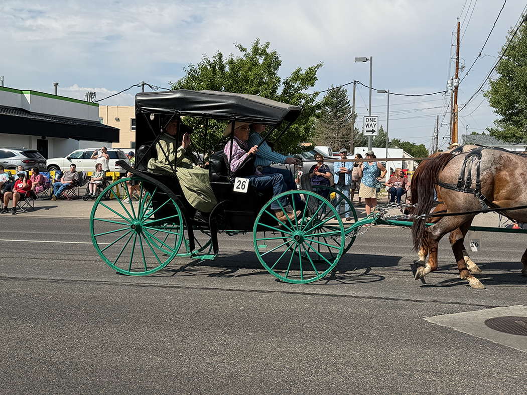 The CANOPY TOPPED SURREY was made famous in the movie Oklahoma.