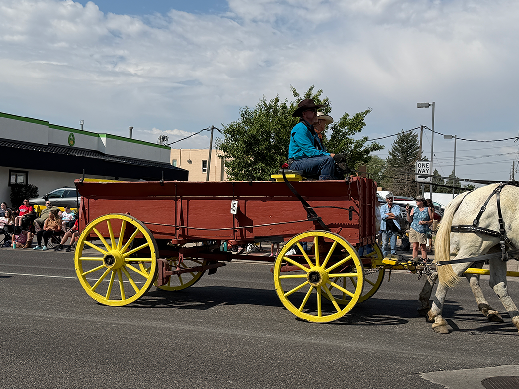 Freight Wagon