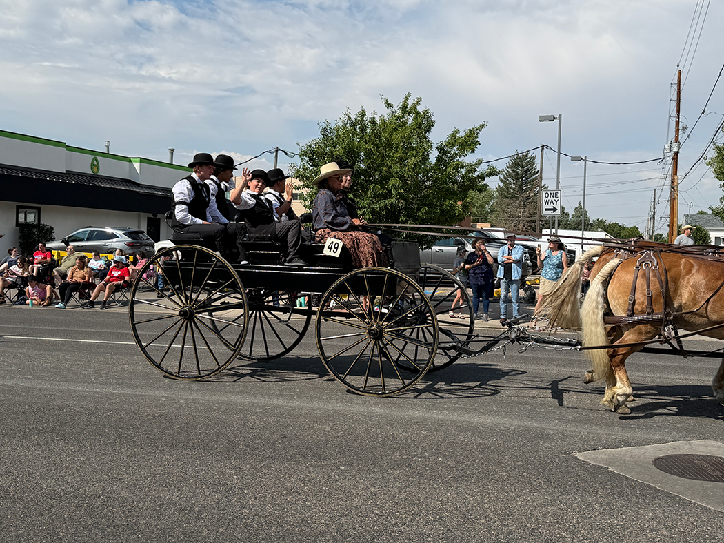 Undertaker's Wagon