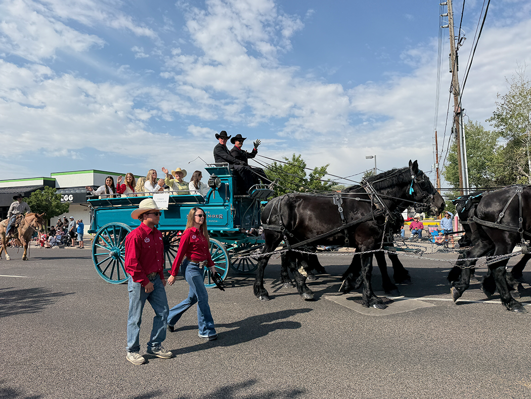 Former Miss Frontiers riding on Mark Messenger's Hitch: Shelly Howe-Erickson - 1980, Kimm Acton Brookshire - 1992, Paige Vossler Schneider - 2000, Joanne Brewster Goss -2005, Caitlin Garcia - 2024