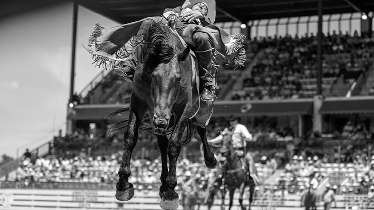 a man riding on a bucking horse at a rodeo