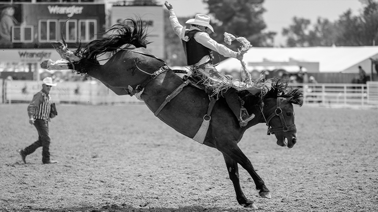 a cowboy on a bucking horse at a rodeo