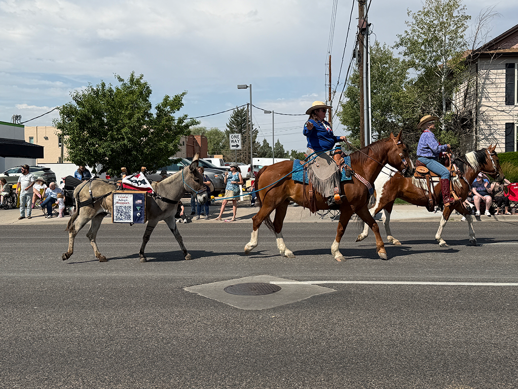 BLM Wild Horse and Burro program.